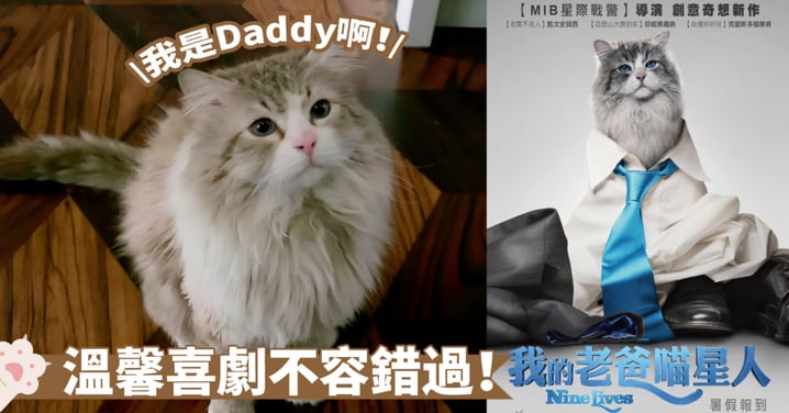 爆笑來襲！一部溫馨與搞笑完美交融的電影《我的老爸喵星人》～貓咪算是家庭和睦的大功臣喔！