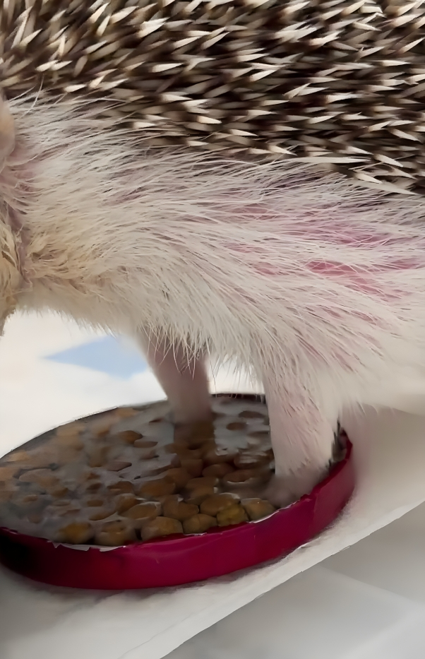 奴才：這很難接受吧