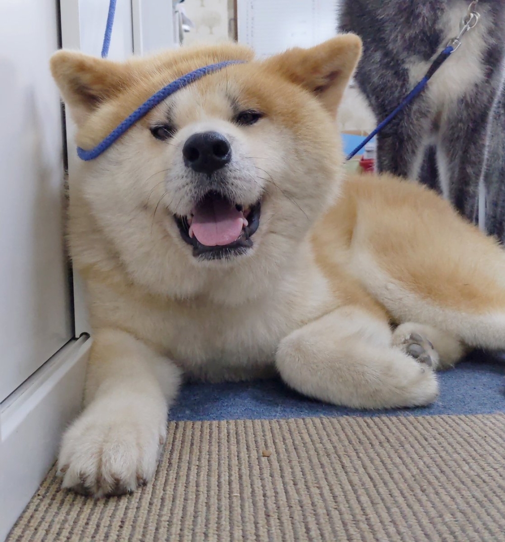 奴才：這很值得回憶囉