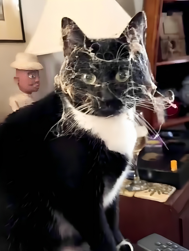 奴才：看得出你非常賣力啊