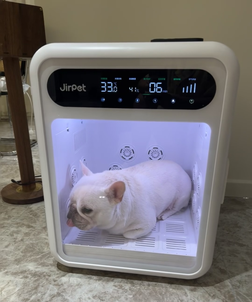 奴才：額...還能這樣解釋喔