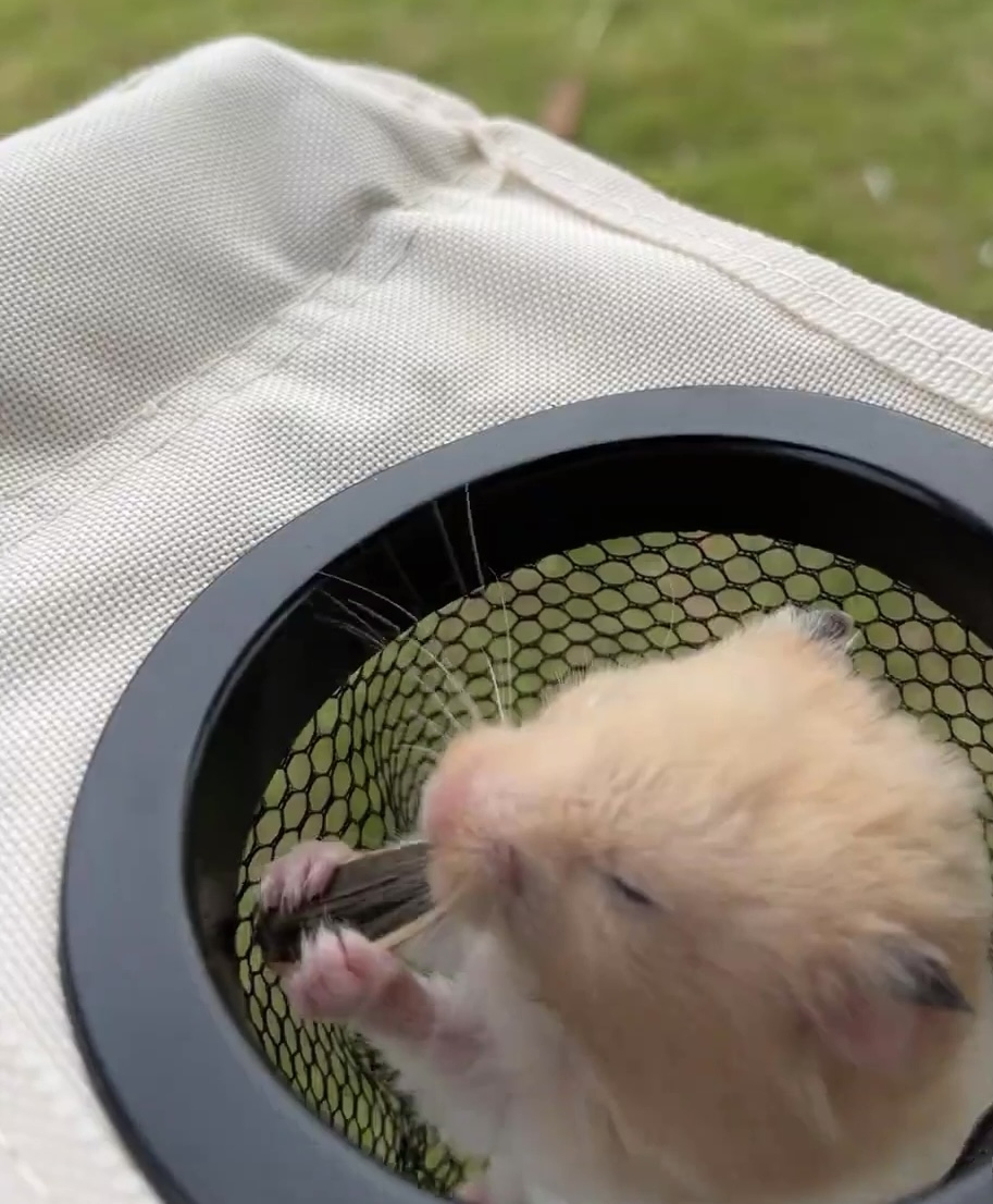 奴才：今天讓你放縱一下吧