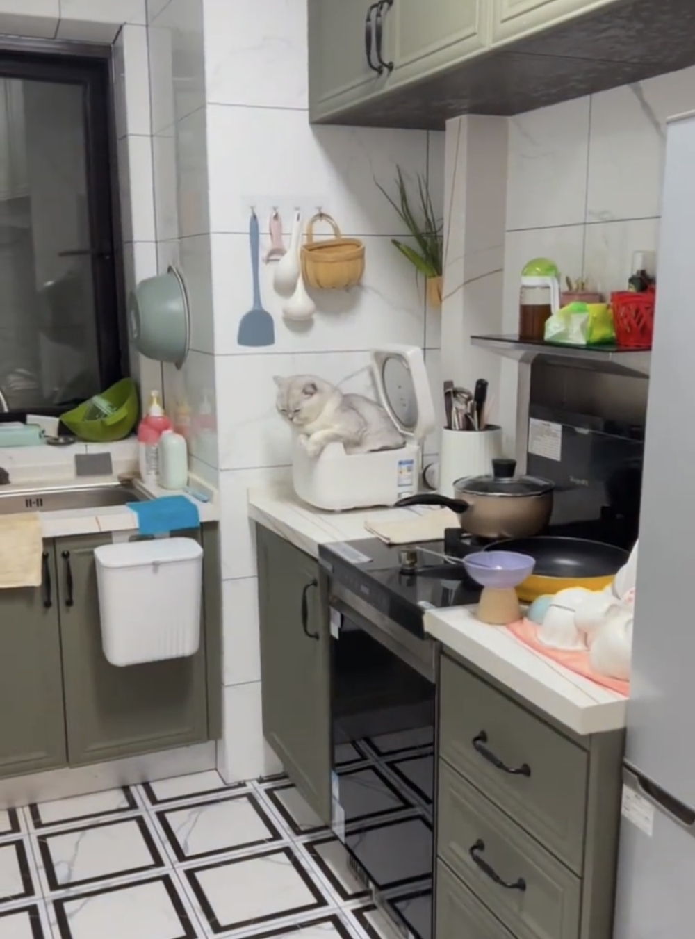 奴才：你竟然還拉粑粑了！！！