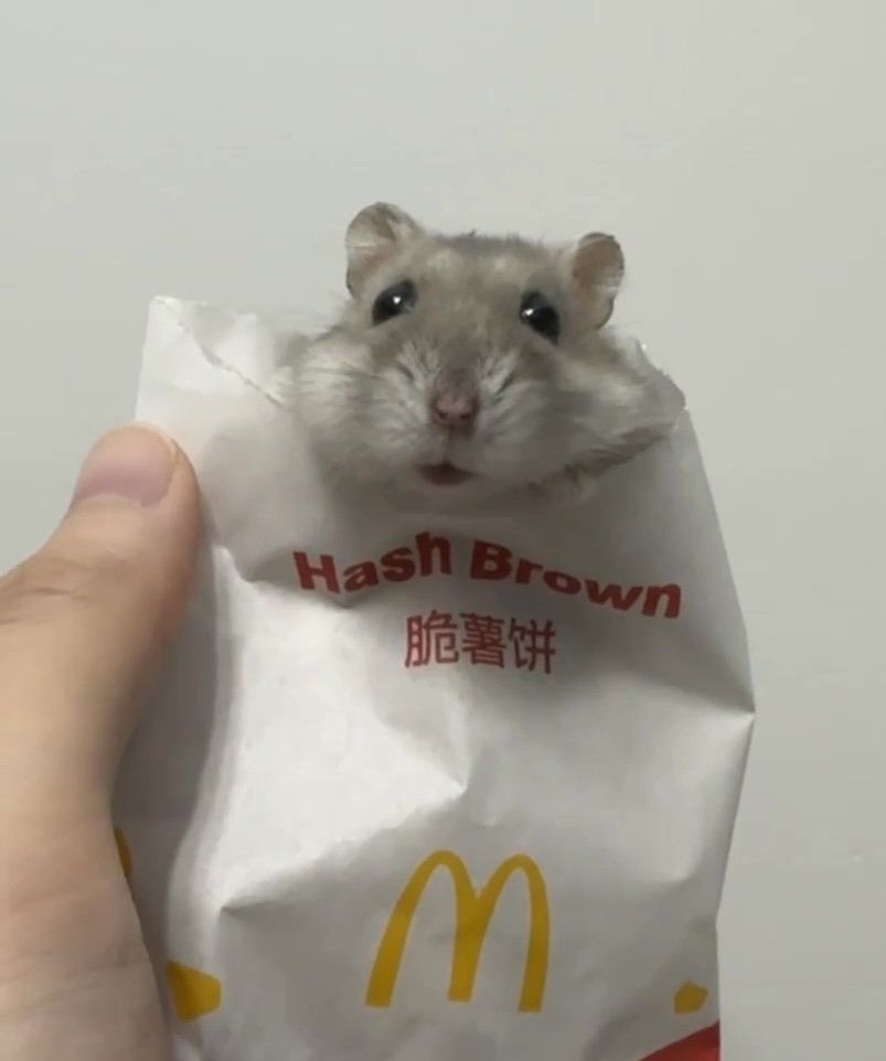 奴才：我又不是變態...