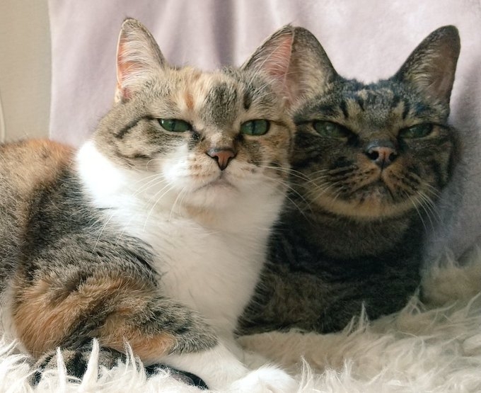 奴才：但你們默契真的太好了