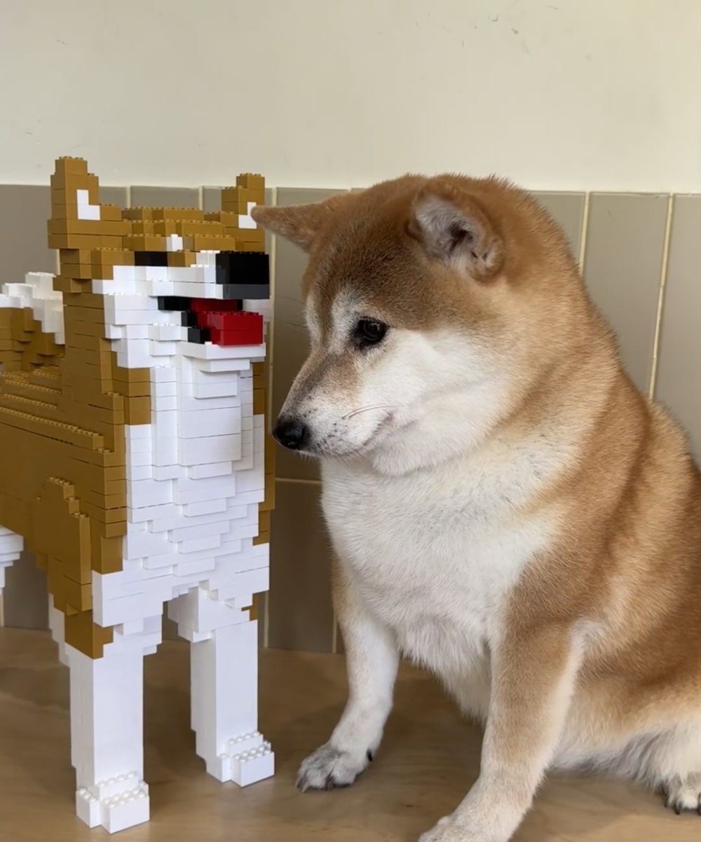 奴才：你覺得不像你的同類嗎？