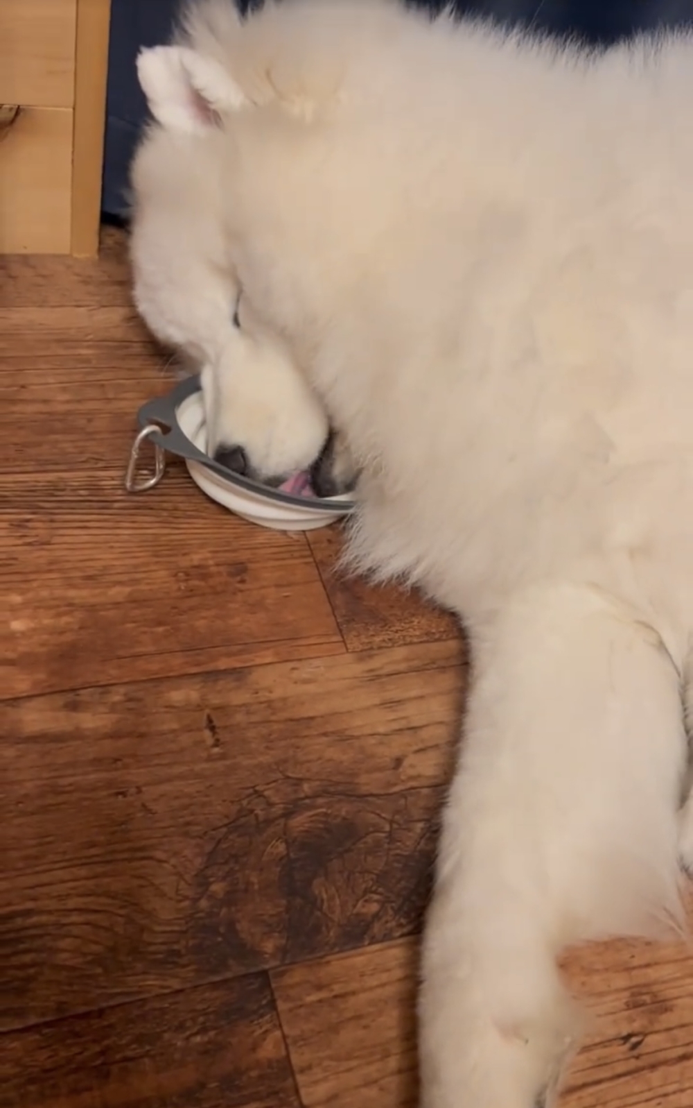 奴才：這很明顯就是你自己懶惰啦