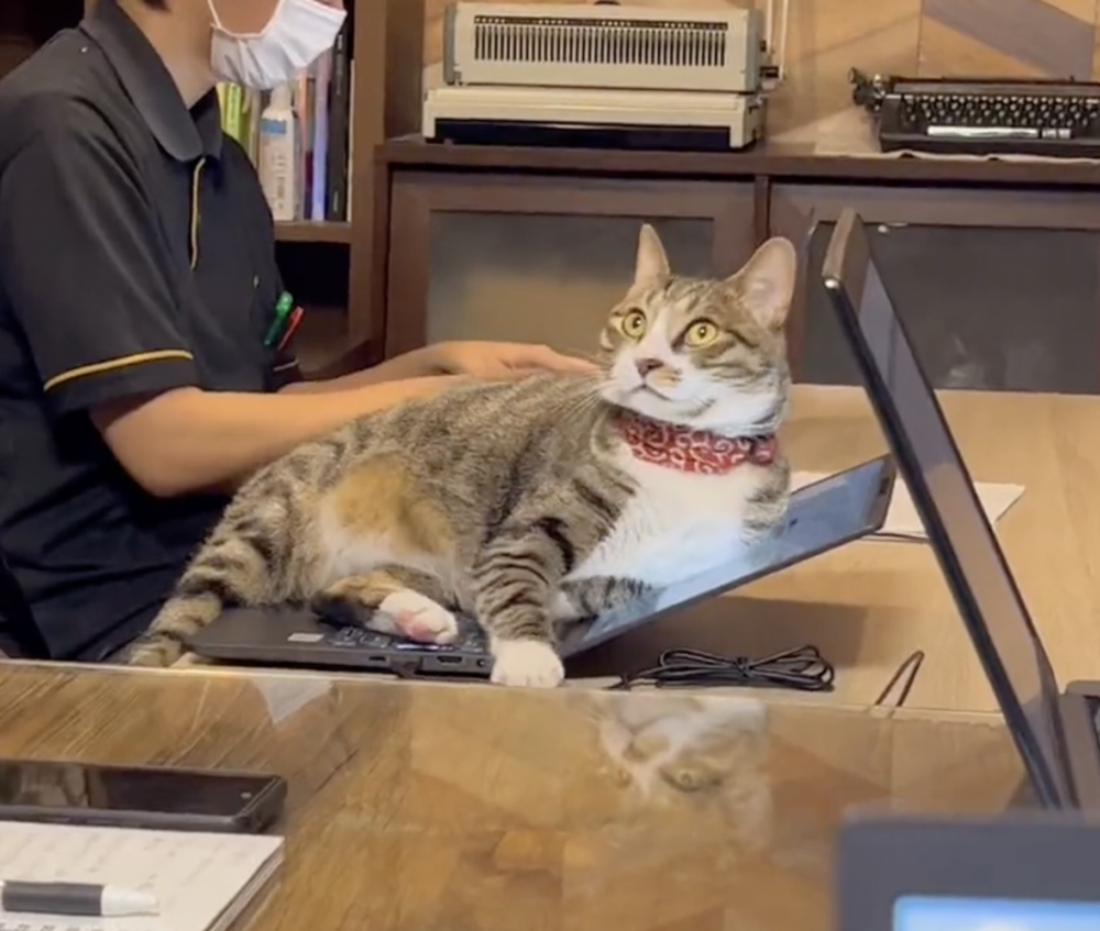 員工：開玩笑啦～