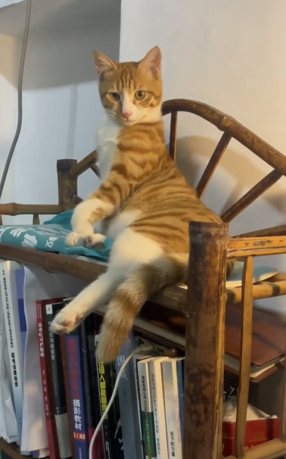 奴才：你在發什麼瘋喔