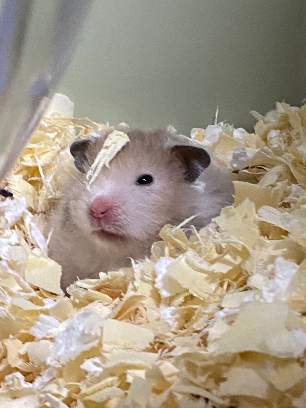 奴才:你別自己嚇自己啦~