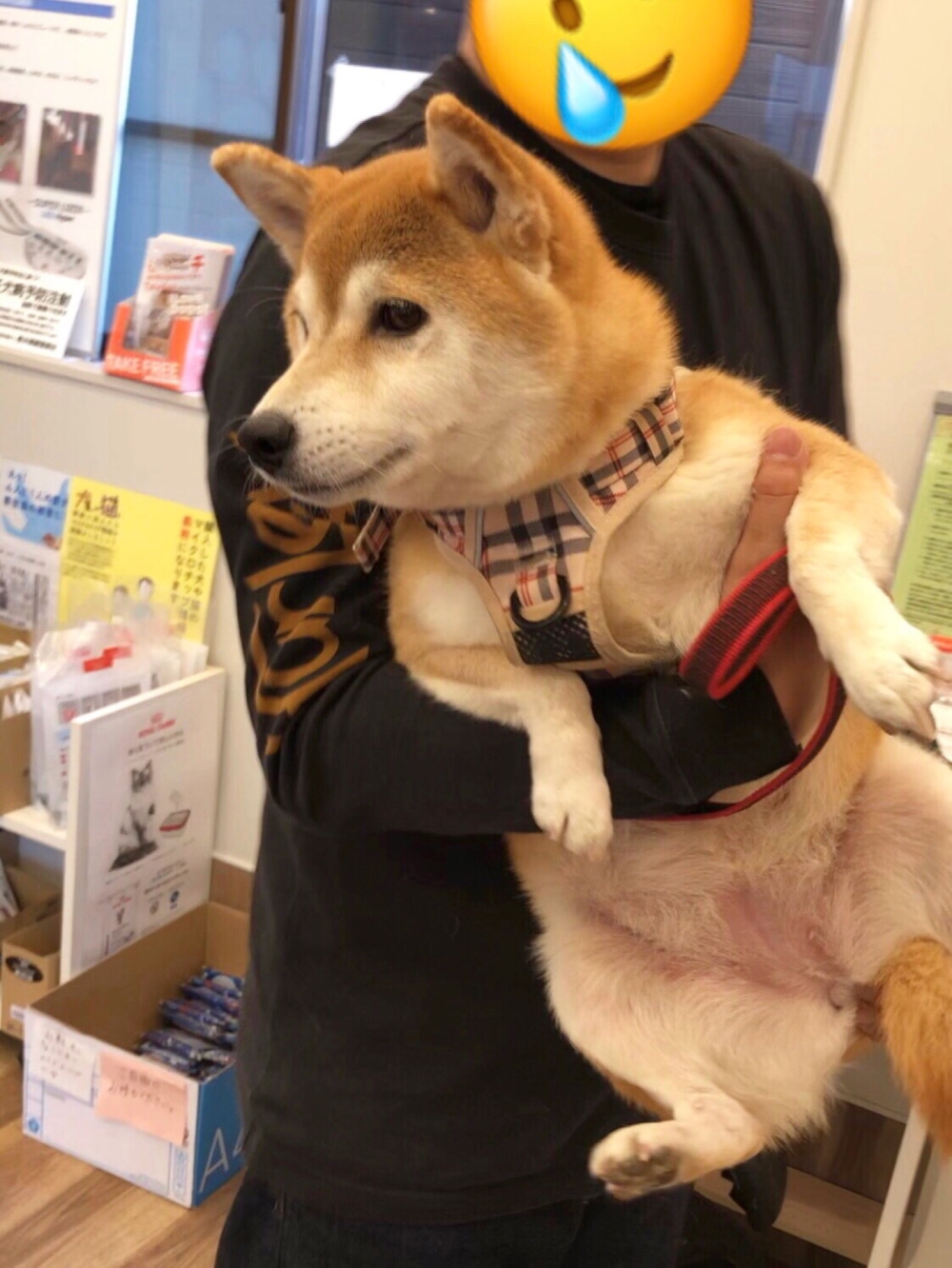 奴才：你還有心情關心別人