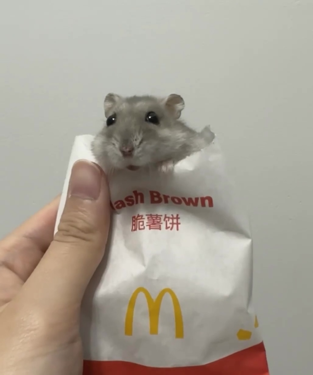 奴才：別想那麼多啦！