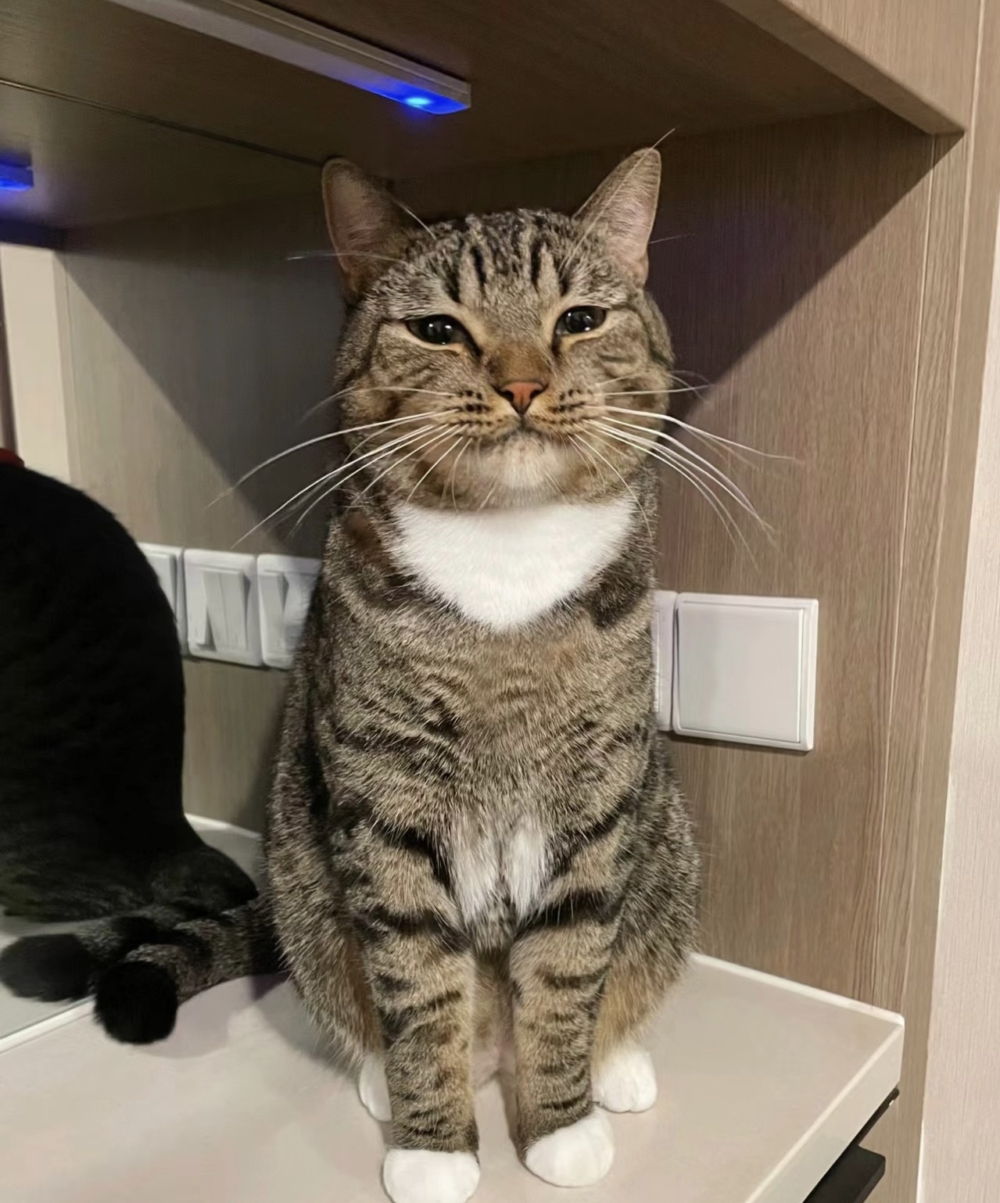 奴才：哎呀～還真的忘了給你拿