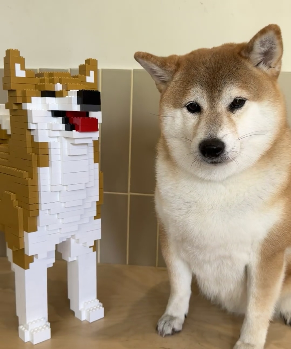 奴才：我很用心欸～