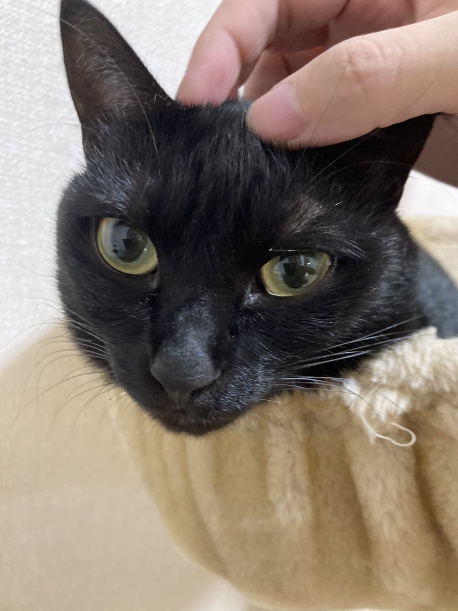 奴才：那必須滿足你啦