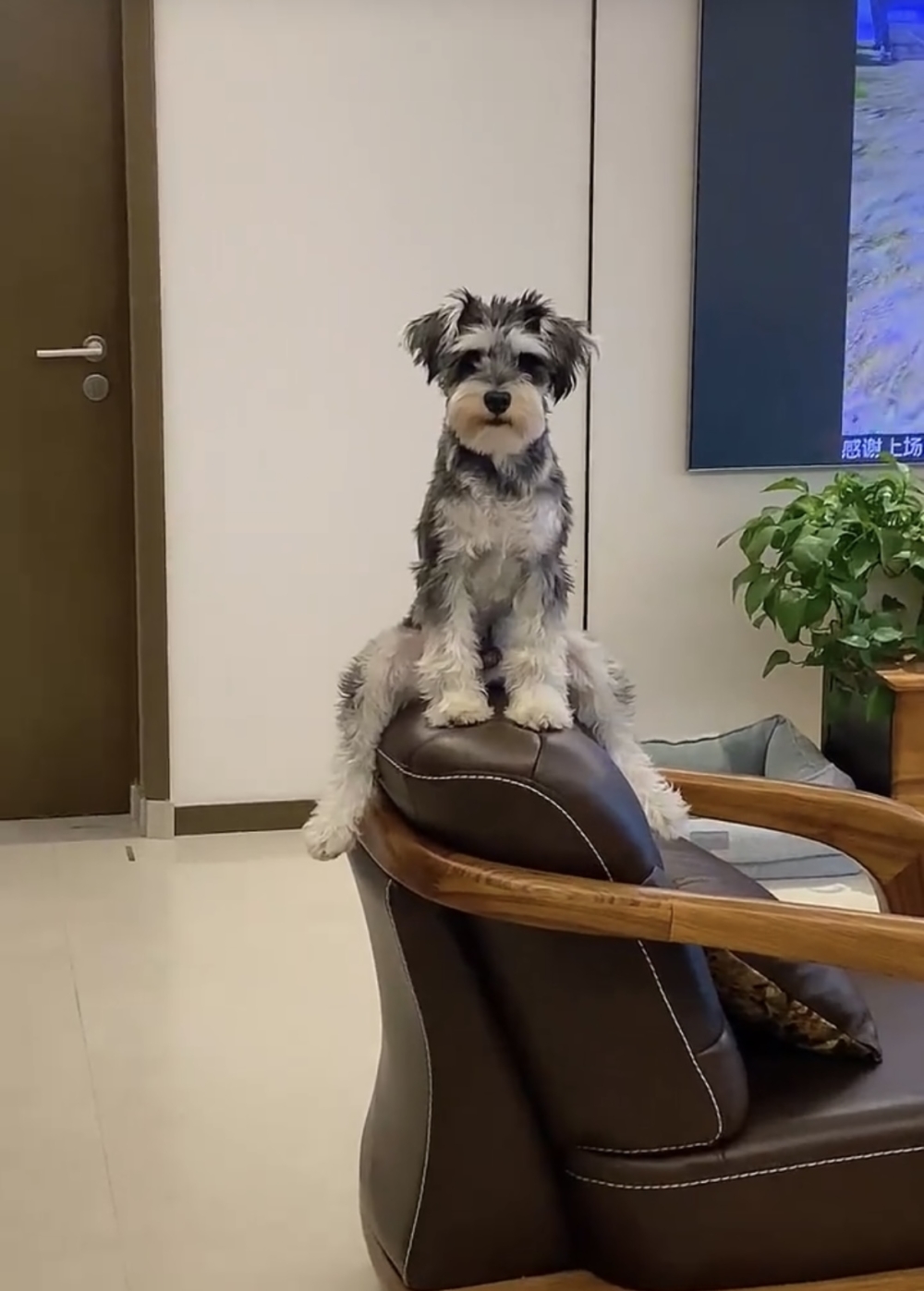 奴才:別以為我不知道你在幹嘛喔