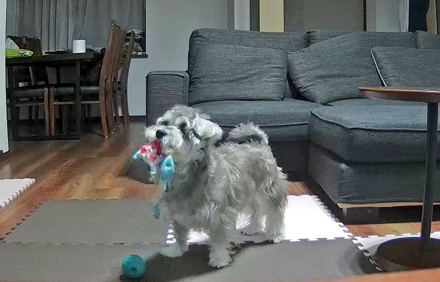 奴才：你好會玩啊