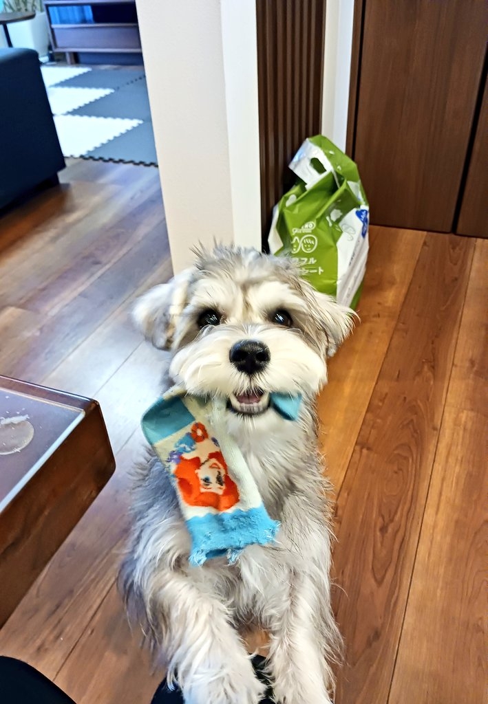 奴才：我的榮幸喔