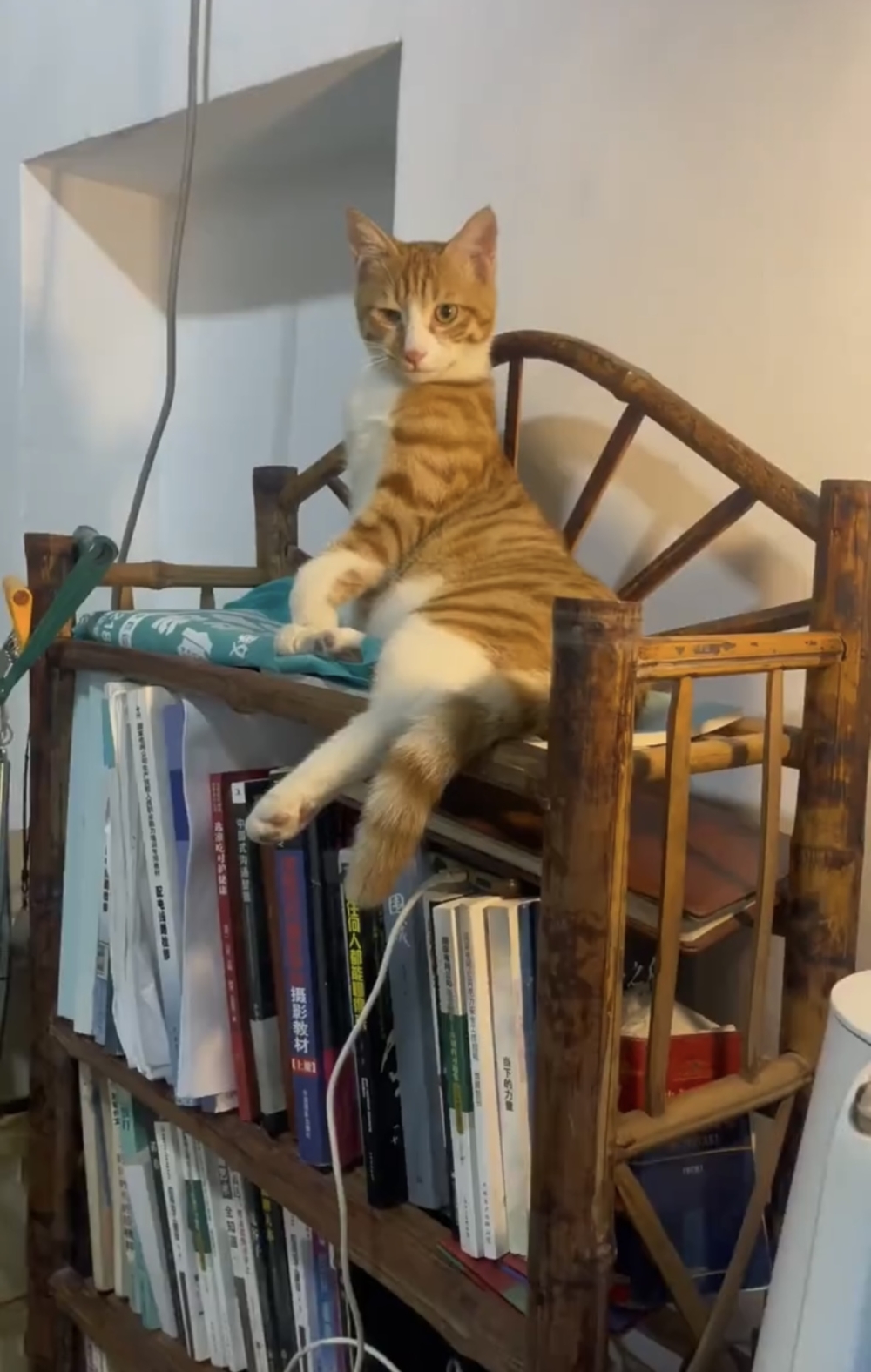 奴才：要說好也不是不行