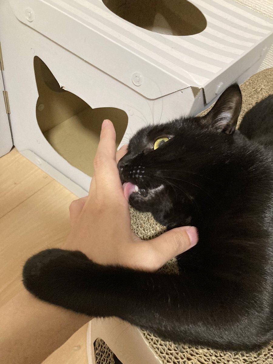 奴才：當然要給點面子啊