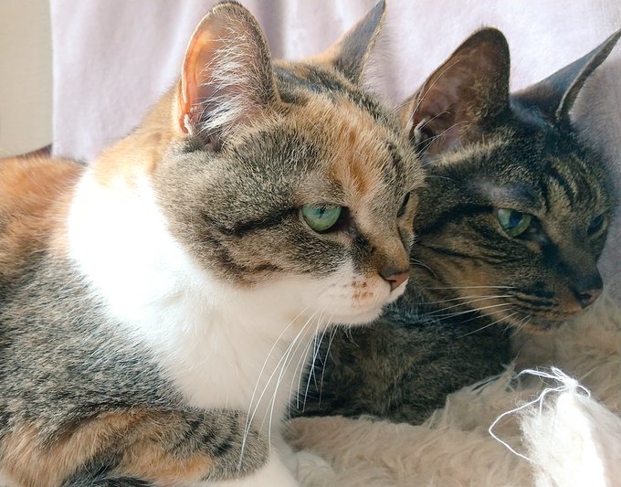 奴才：難得一遇啊