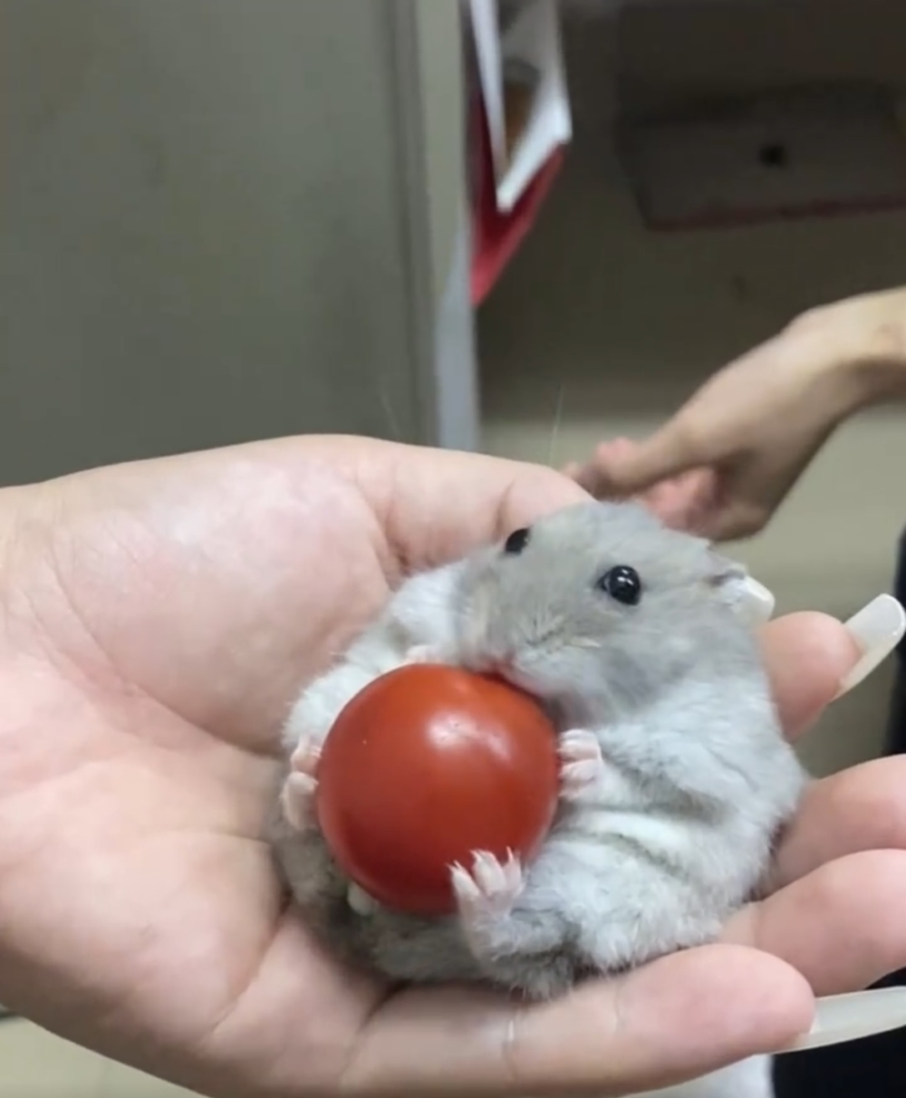 奴才：那就吃多一點喔～