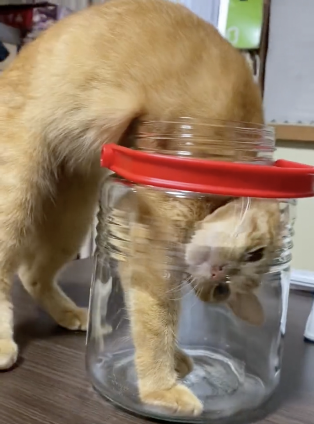 奴才：這真的沒辦法囉