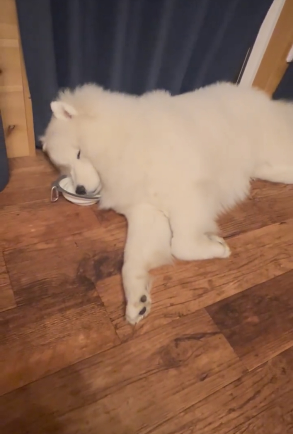 奴才：那這確實不可否認啦