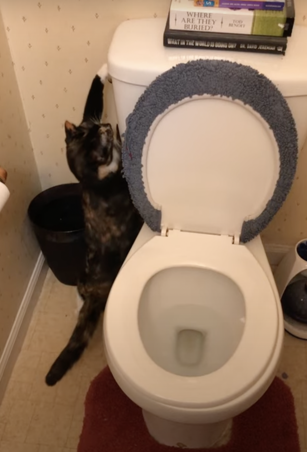 奴才：我感覺不像捏