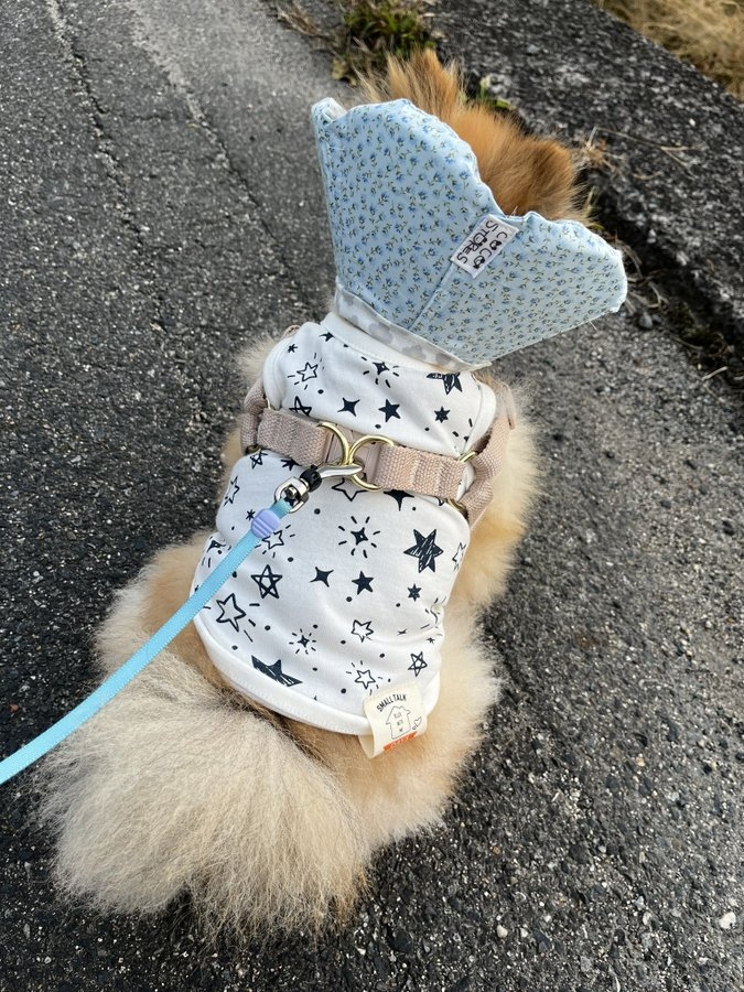 奴才：你慢慢考慮，不急喔