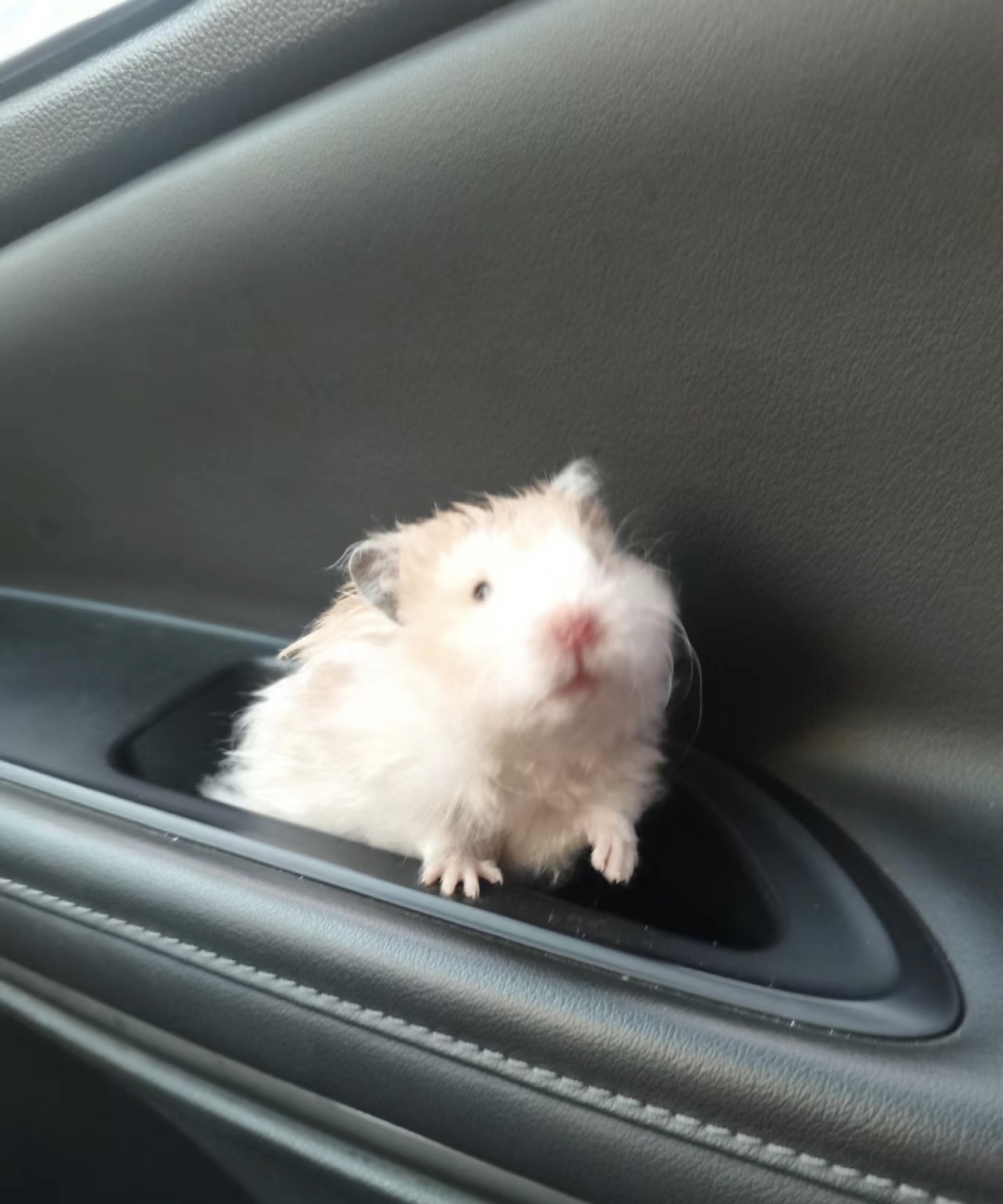 奴才：你還可以堅持嗎？