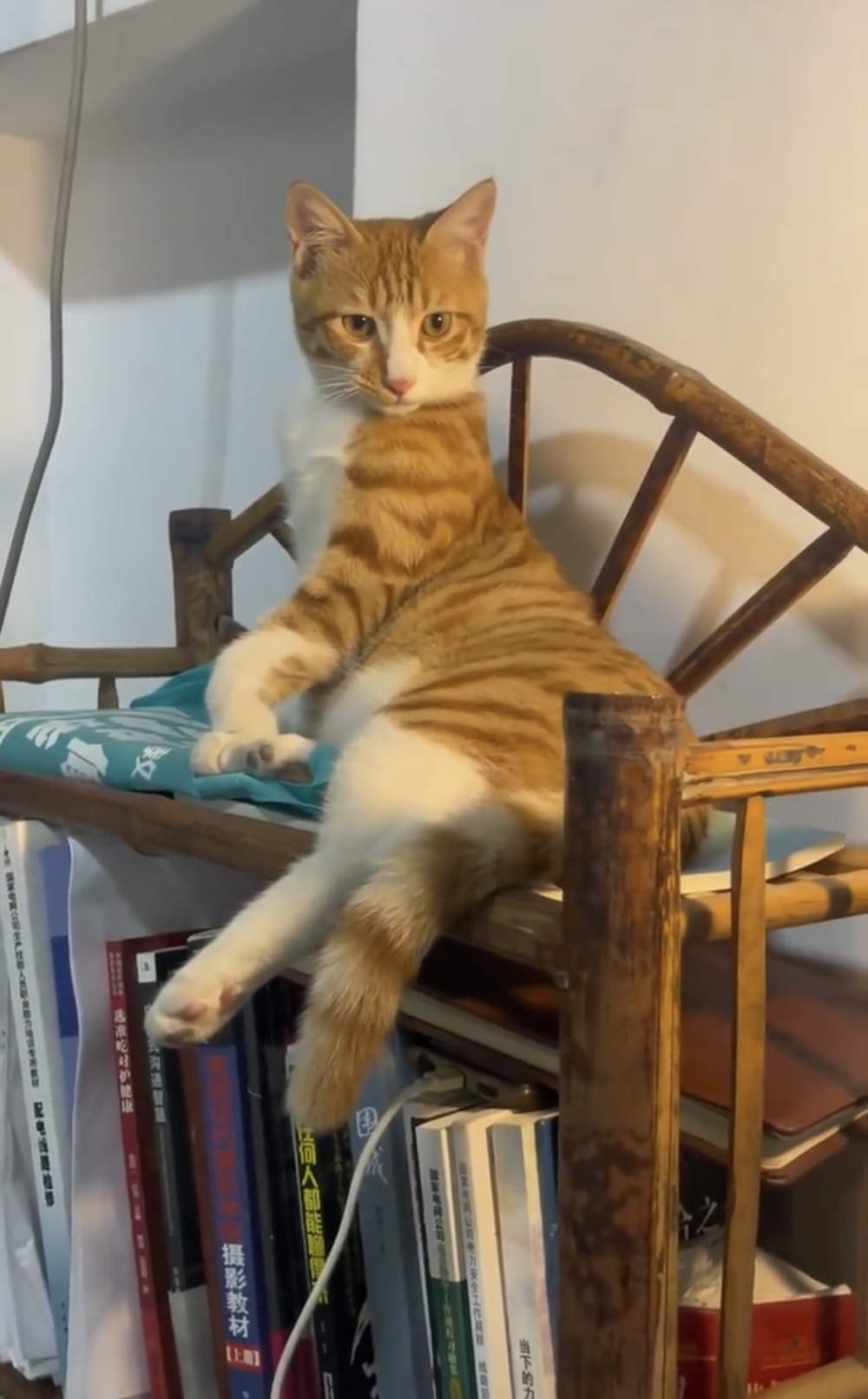 奴才：你先跟我說說你看上了誰啊