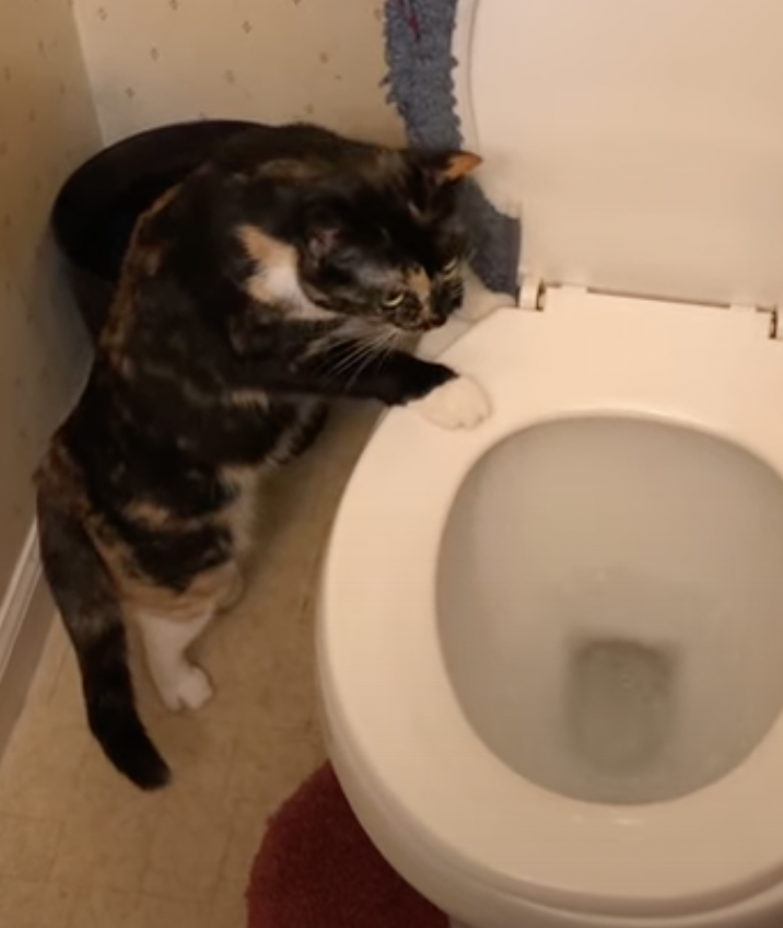 奴才：暫且相信你一次喔