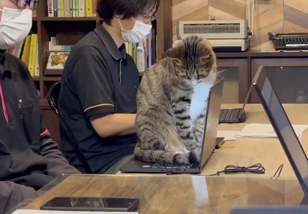 員工：你算不算？