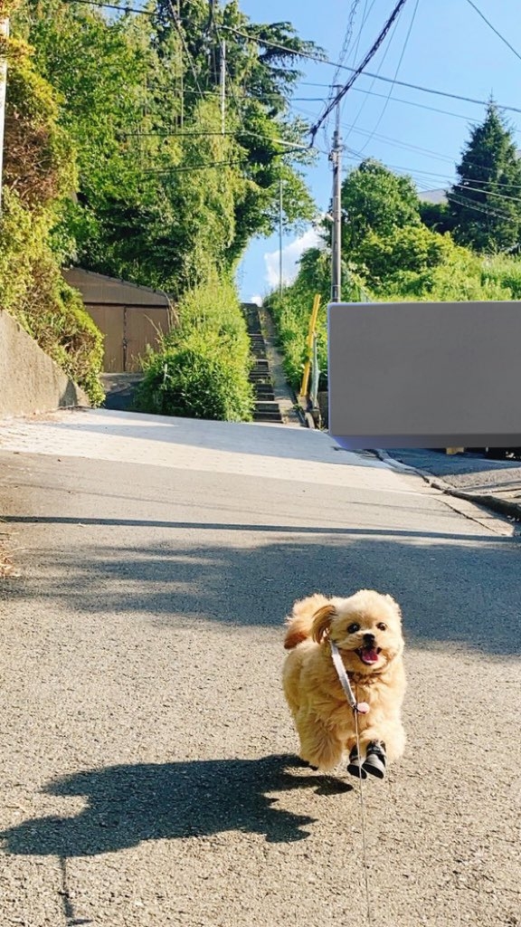 奴才：習慣了可能你會愛上喔