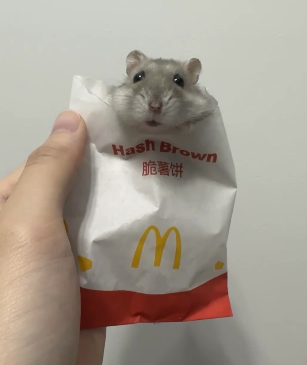 奴才：你把我當成什麼了