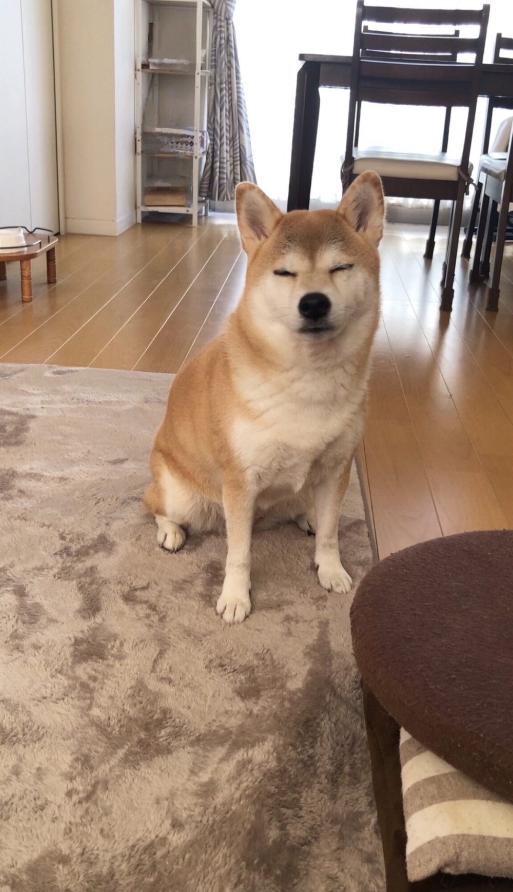 奴才：那你好好安慰牠囉