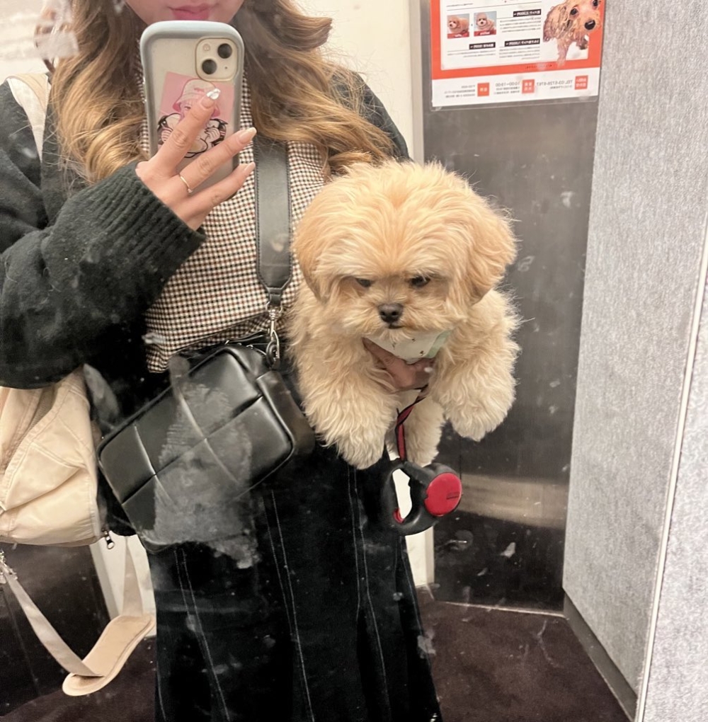 奴才：要乾乾淨淨的呀