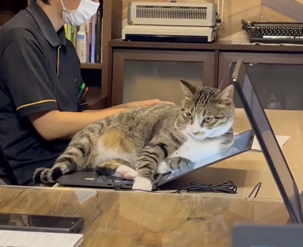 員工：你盡情睡吧