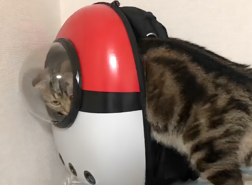 奴才:還真是了不得啊