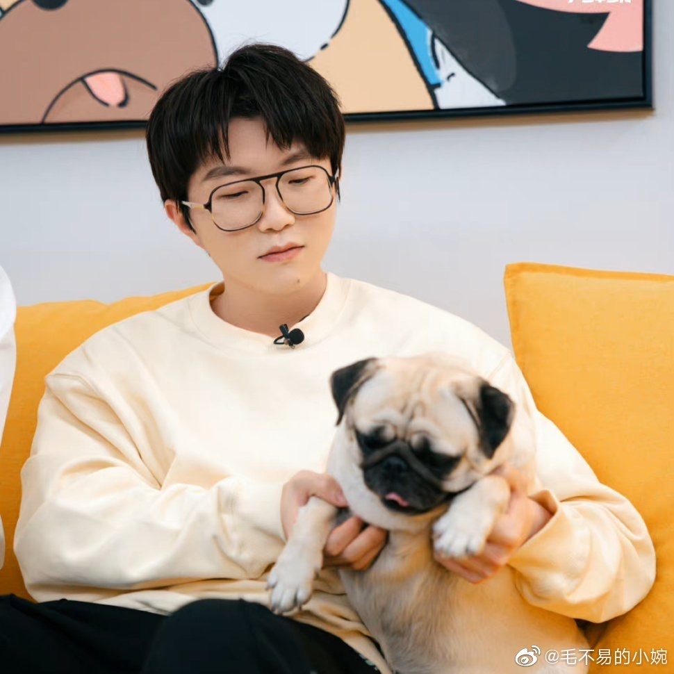 毛不易和「元寶」