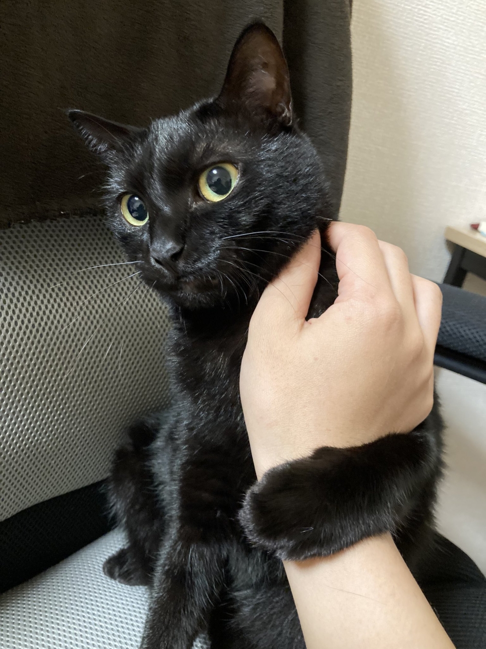 奴才：你怎麼了？