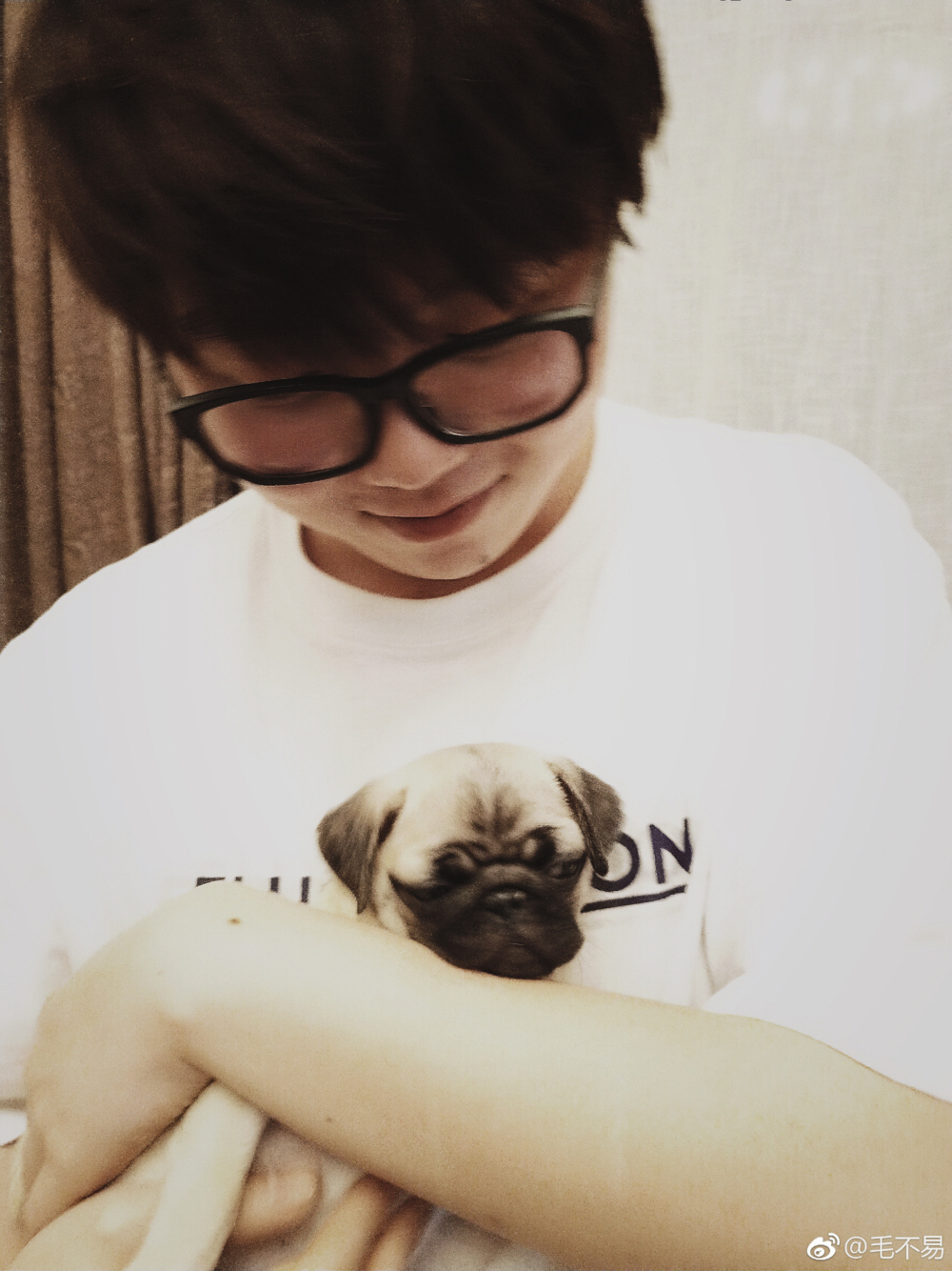 毛不易和「元寶」