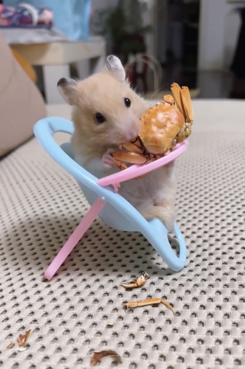 奴才：我對你還不錯吧