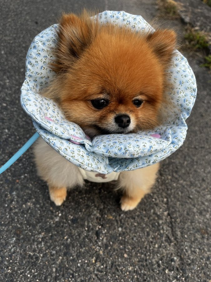 奴才：沒事，別生氣啦