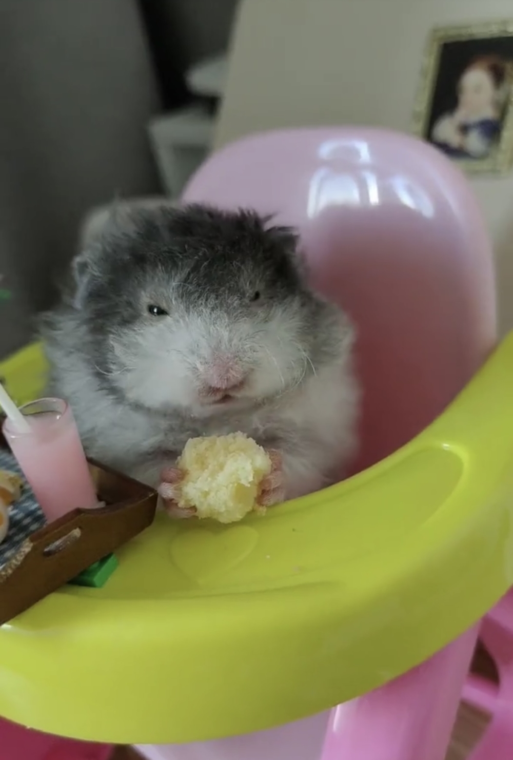 奴才：那就多吃點喔