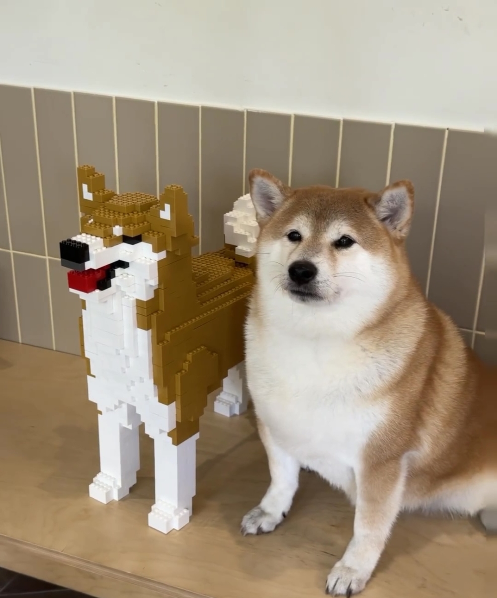 奴才：怎麼可能，這很像欸