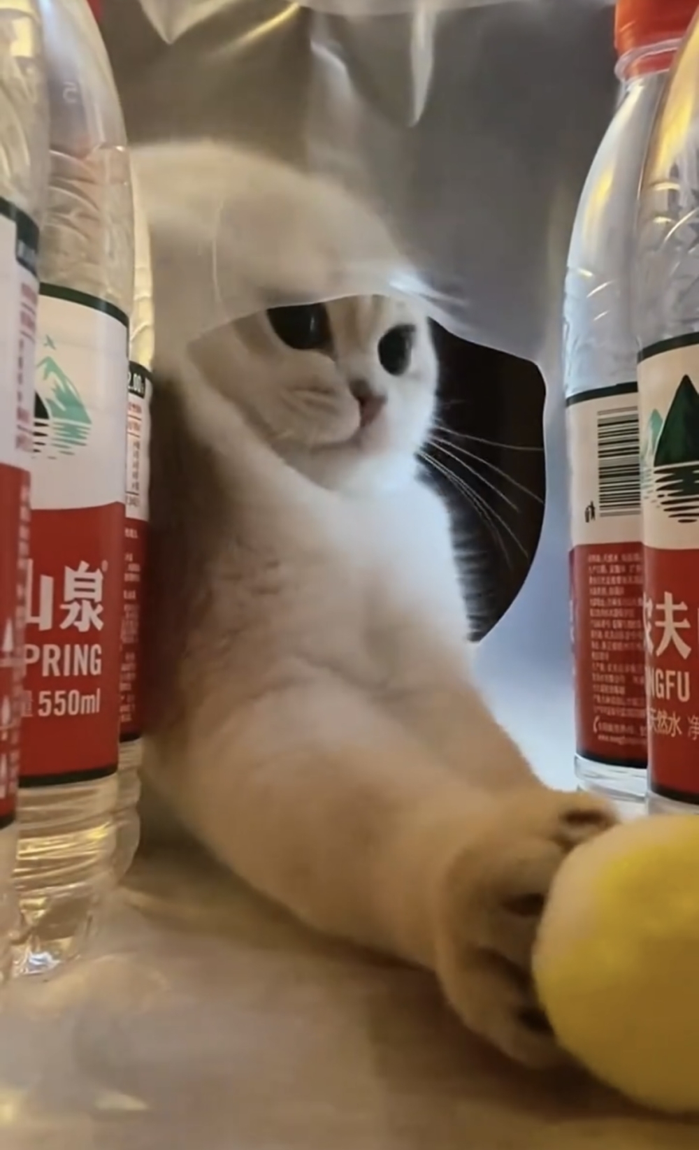 奴才：努力！加油！