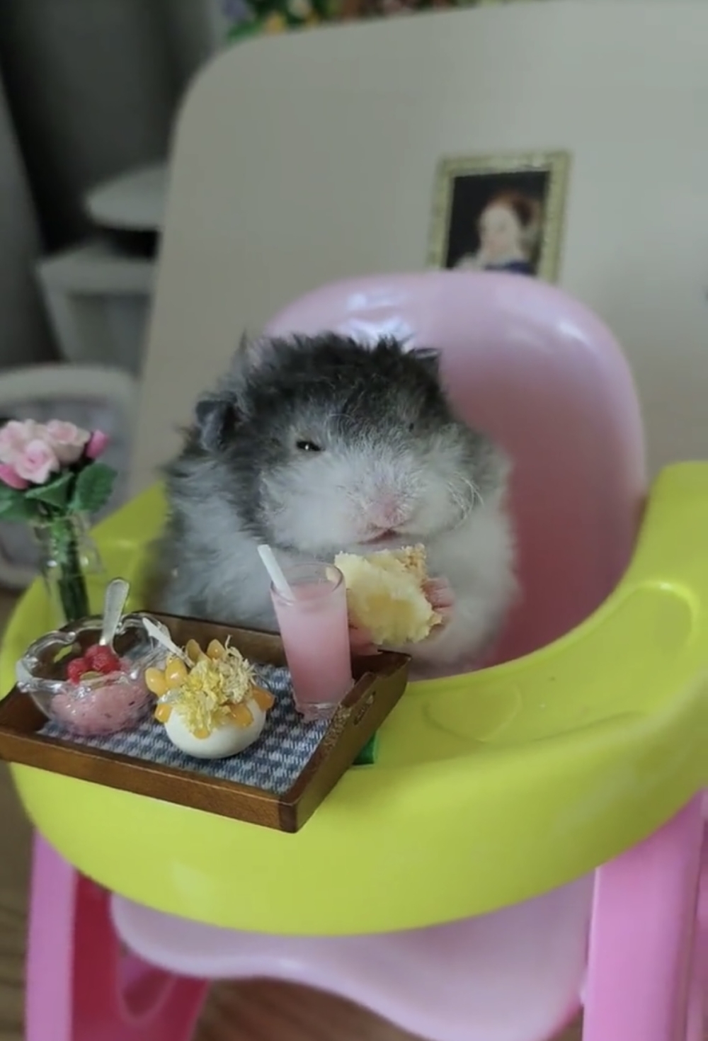 奴才：那一切都值得了