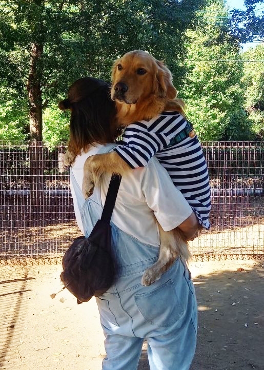 奴才：想要抱就抱得起啦